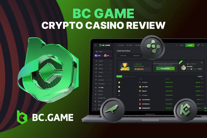 Understanding BC.Game Mirror A Complete Guide Understanding BC.Game Mirror A Complete Guide